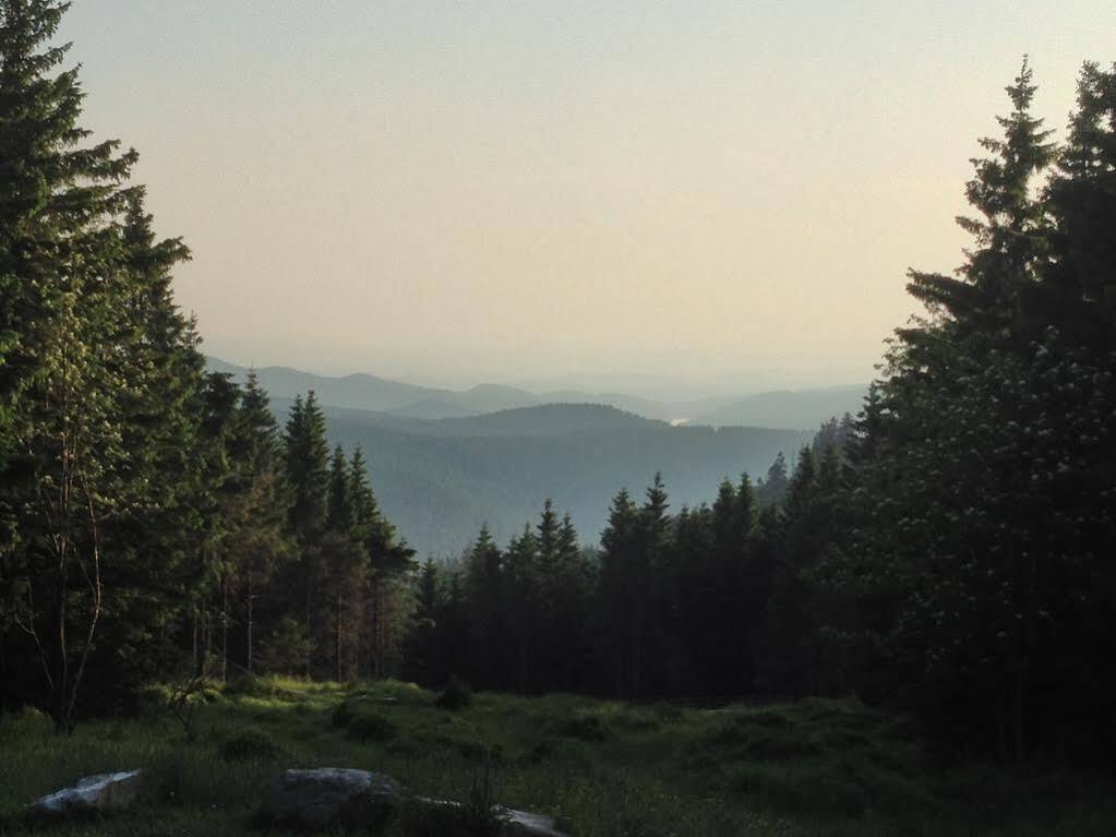 Primum Hotel Braunlage Esterno foto
